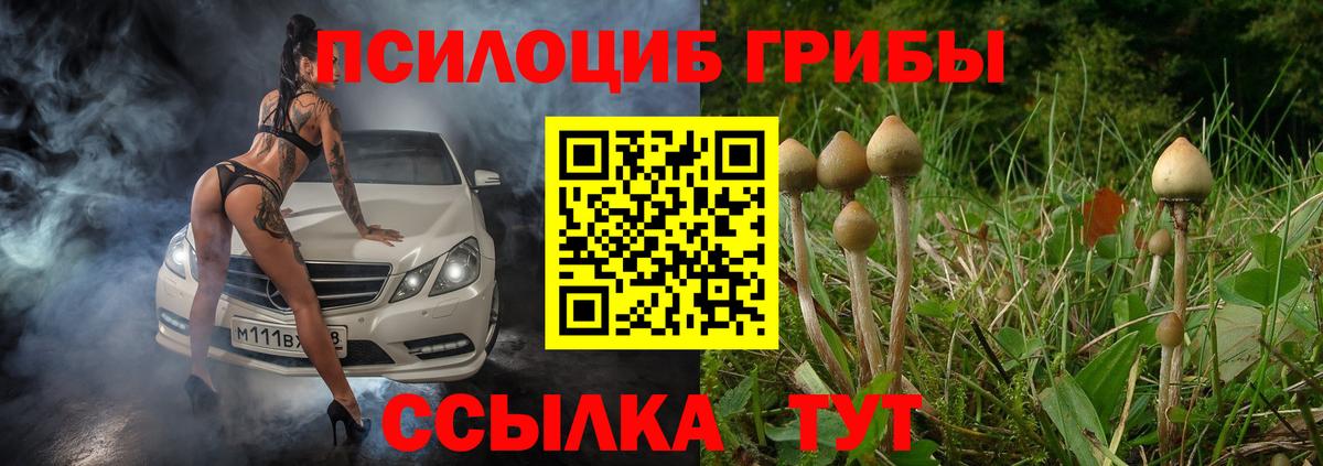 Псилоцибиновые грибы Cubensis Ревда