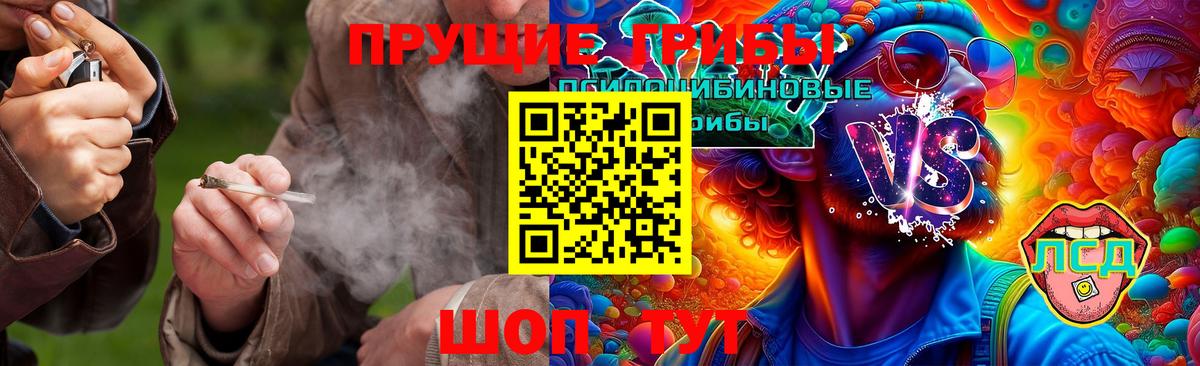наркота  Вход с VPN  Ревда  Псилоцибиновые грибы Magic Shrooms 